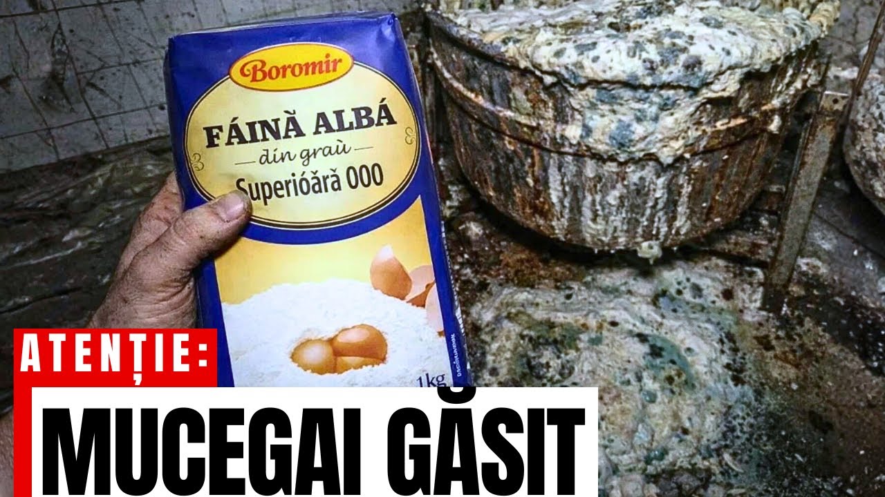 7 Mărci de FĂINĂ pe care să le EVIȚI (dar 2 sunt Excelente)