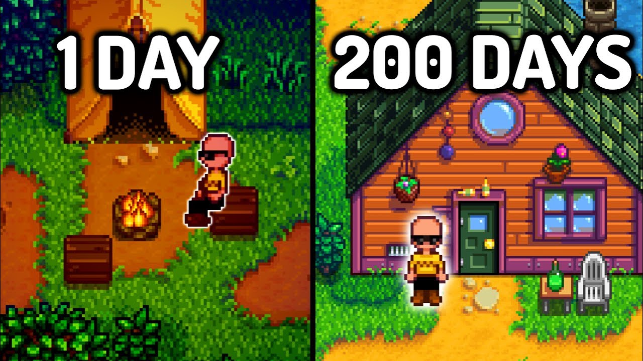 I Played 225 Days Of Stardew Valley Homeless - Full Movie