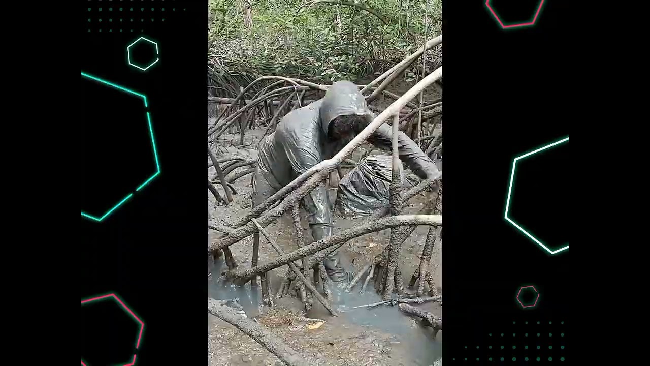 Quanto ganho trabalhando com caranguejo