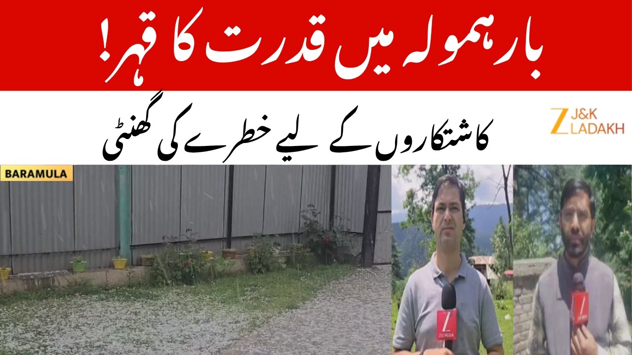 Baramulla Hailstorm Crisis: Apple & Cherry Crops Damaged as Heavy Rain Triggers Fresh Losses |ZeeJKL