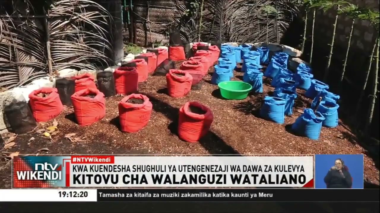 Raia wa Italia, wengine 2 wakamatwa Kwale kwa kuendesha shughuli ya utengenezaji wa dawa za kulevya