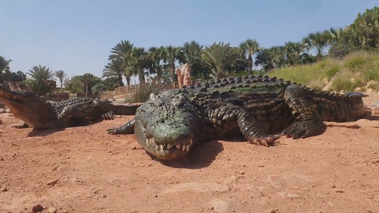 Agadir - Croc Park & Medina (25.09.2024)