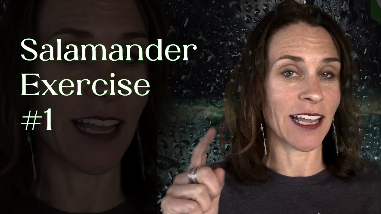 Salamander Exercise 1