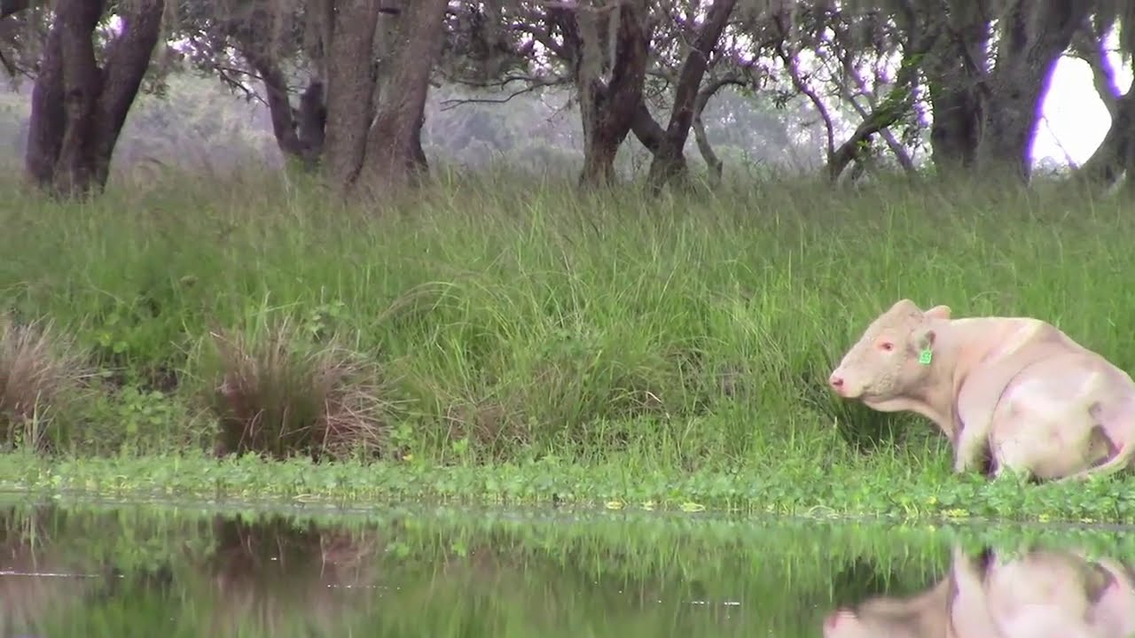 Hobie Pro Angler 14 Kayaking Vlog 7