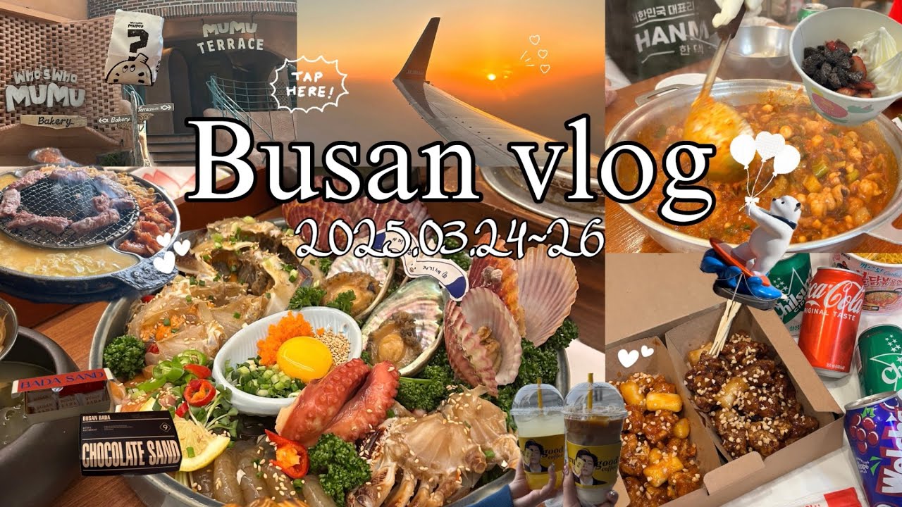 【韓国vlog】連れて行ってもらった大人数8人で行く釜山旅！久しぶりの海雲台に釜山名物…幸せな3日間🩵💙
