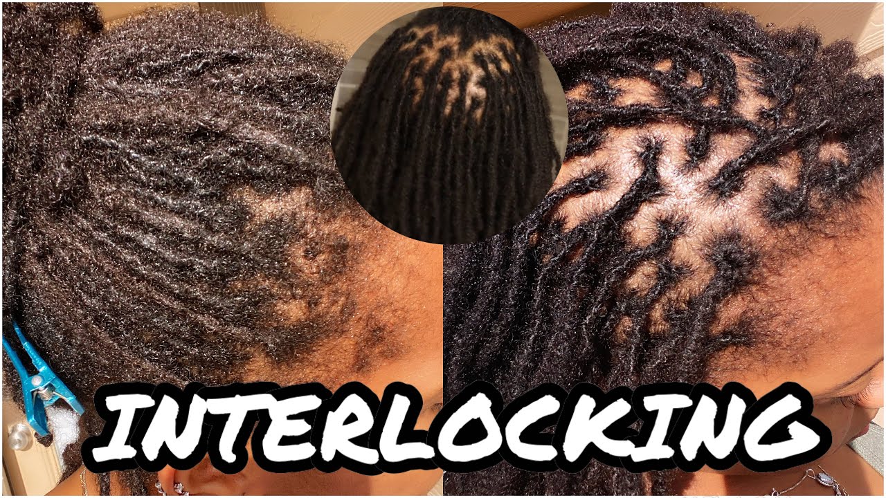 Interlocking Locs | How I Interlock My Locs