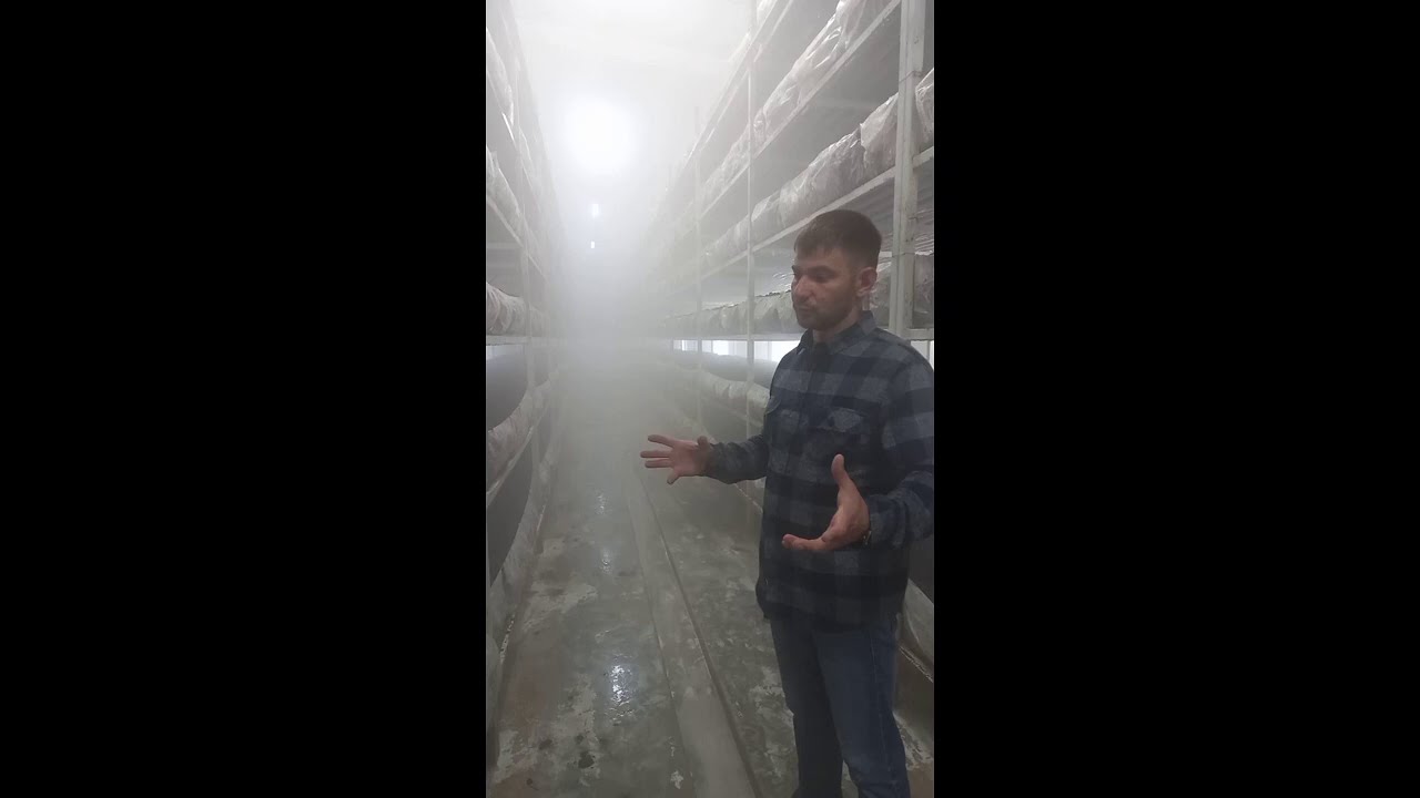 Увлажнение воздуха  в камерах выращивания шампиньонов Новосибирск.создание  микроклимата.4 сент