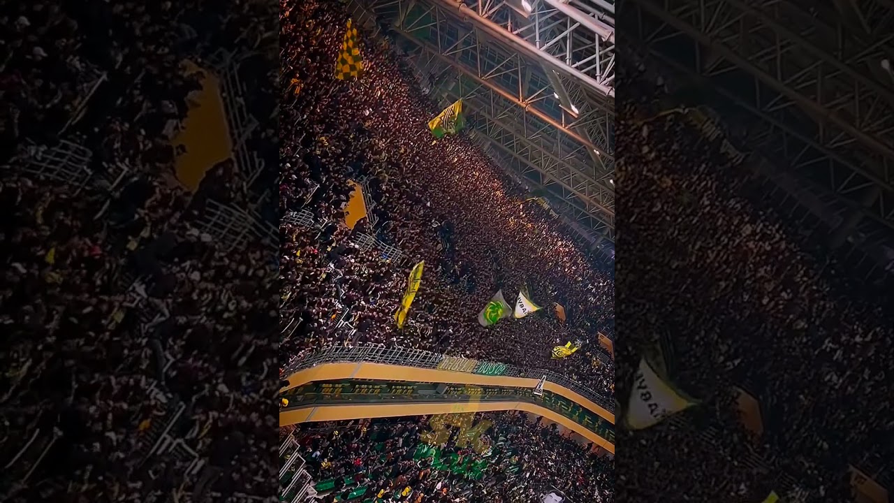 kabylie boys ultras 💚💛#jsk #jskabylie