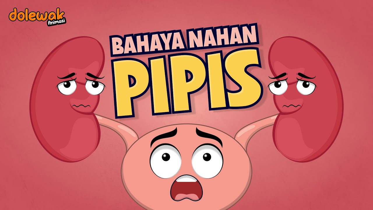 Bahaya Menahan Pipis - Animasi Organ Tubuh