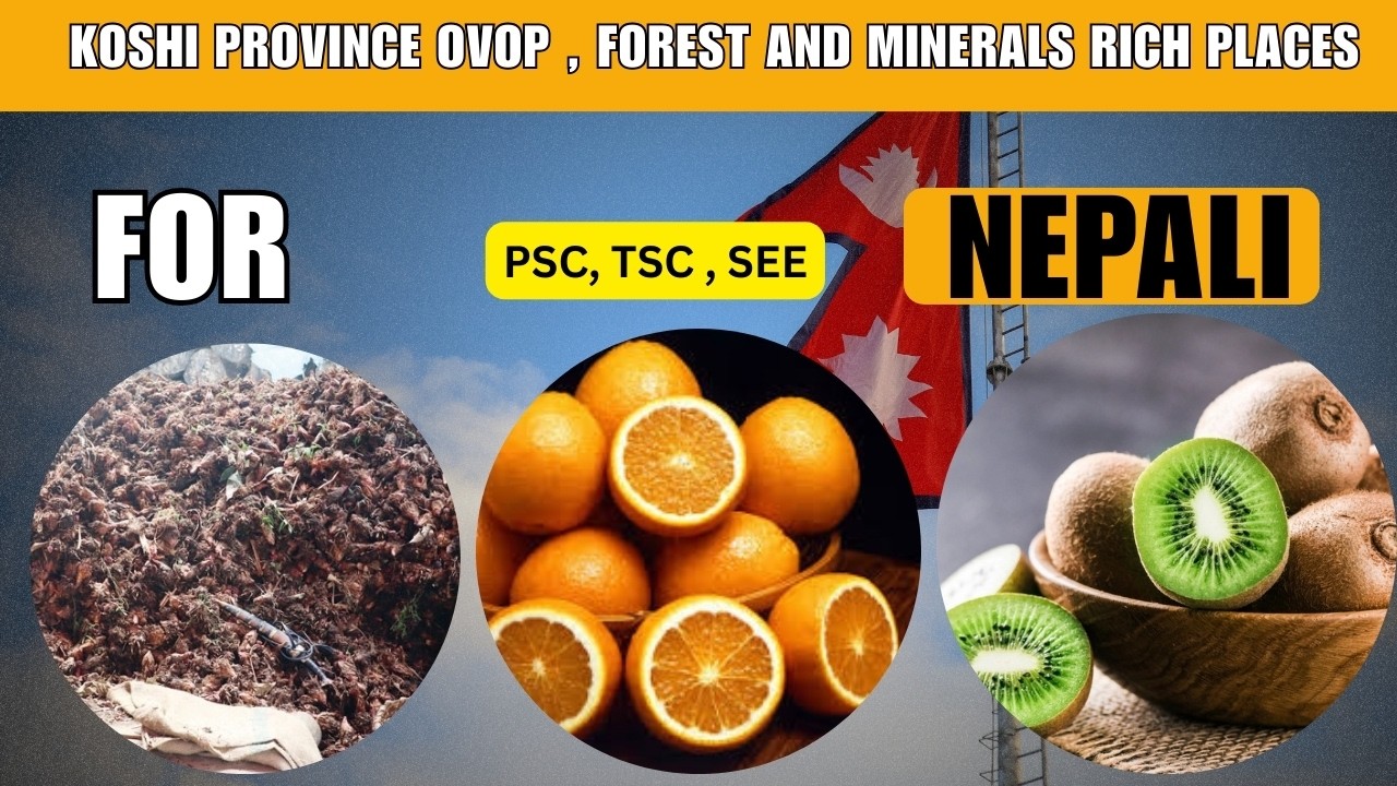 KOSHI PROVINCE OVOP , FOREST AND MINERALS RICH PLACES , LOKSEWA , PSC , TSC , NAYABSUBBA