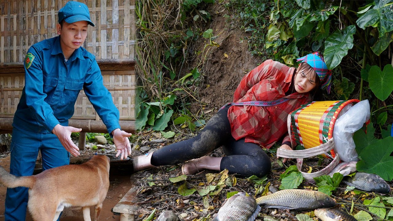 Catching giant fish - A single mother and a kind police officer build a farm - Tieu Ha single Mom