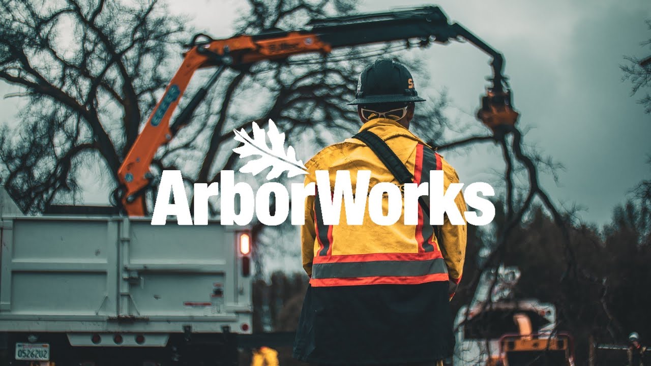 Crew AW1 Tree Removal With TGS