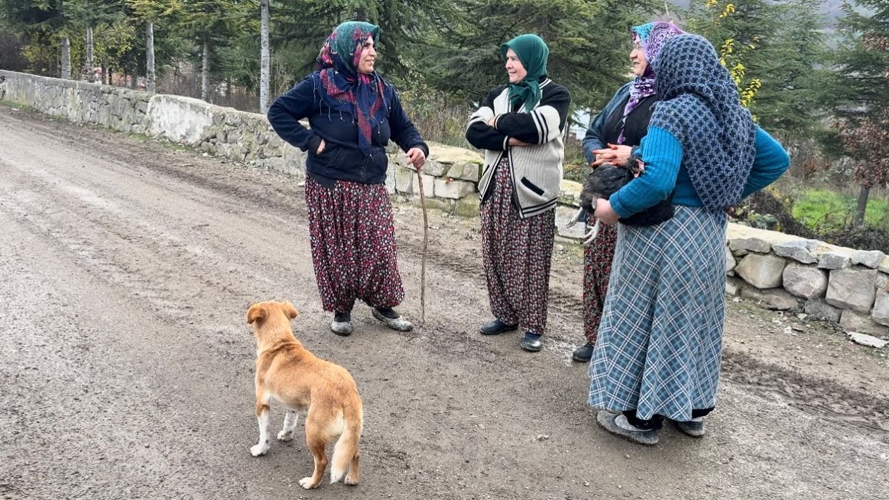 Köyümüzün mezarlığını ziyaret dönüşte mahallenin hanımlarıyla ayaküstü sohbet ￼