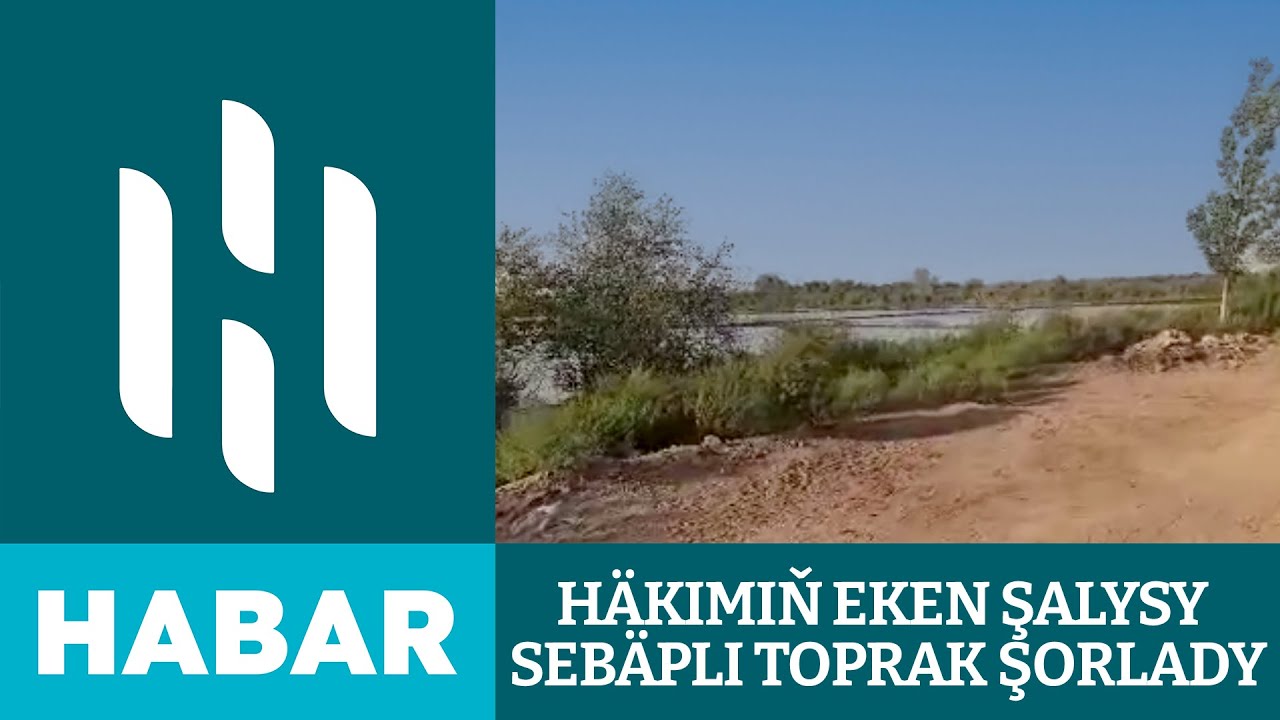 Darganata Etrap Häkiminiň Eken Şalysy Sebäpli Toprak Şorlady