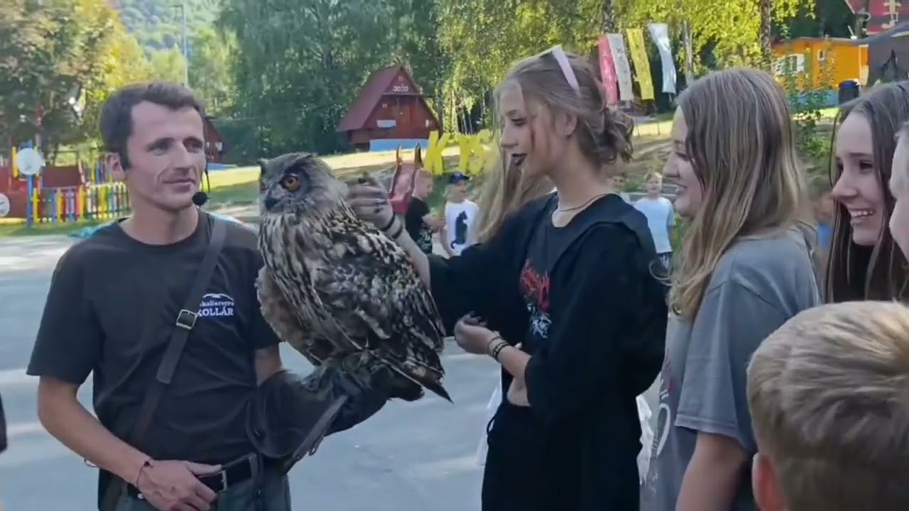 DLT  Kysak - Brezie 2024  Filmová práca 3. turnus / 4  oddiel.