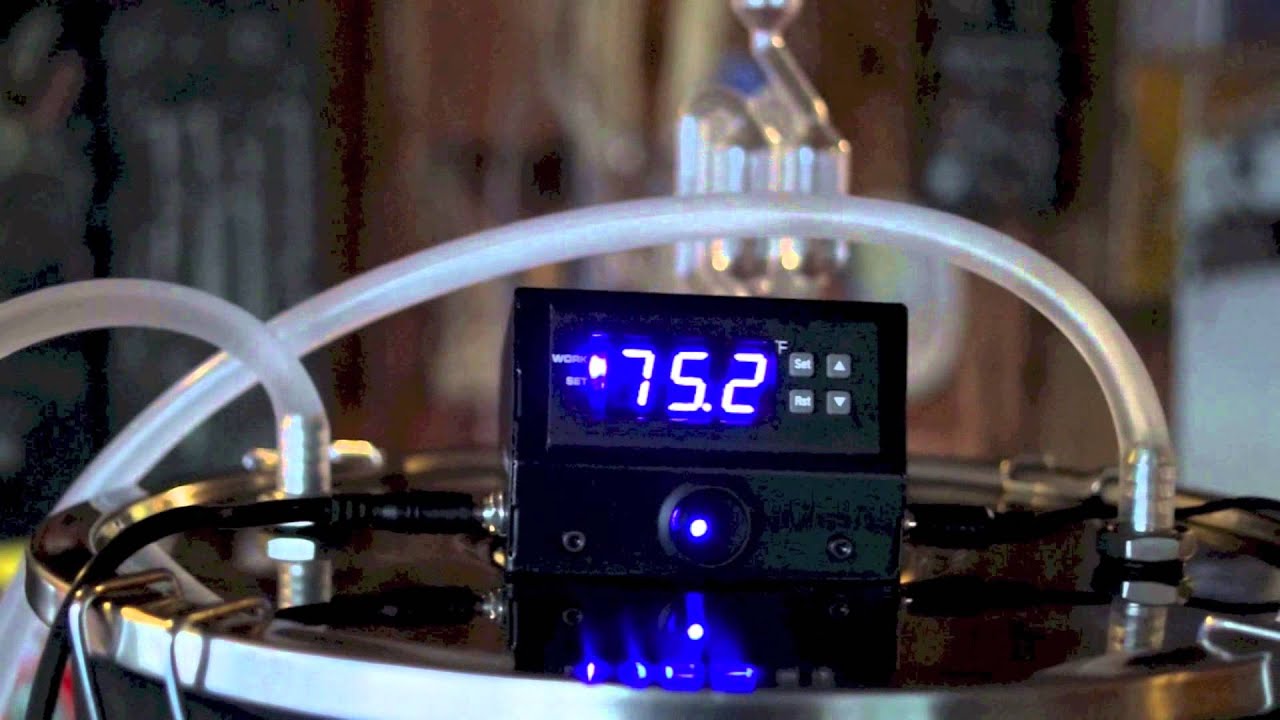 Review: Ss Brew Tech - FTSs Temperature Controller