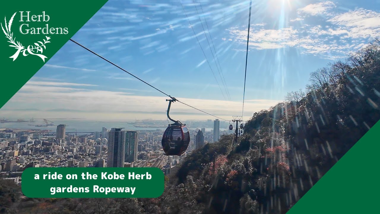 a ride on the Kobe Herb gardens Ropeway #japan #kobejapan