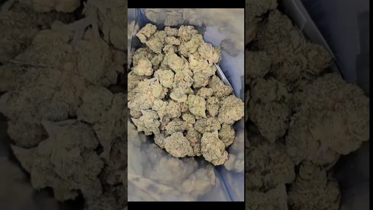 How to LEGALLY buy weed in GERMANY (Munich) - Legal Gras kaufen in Deutschland (Bayern/M&uuml;nchen)