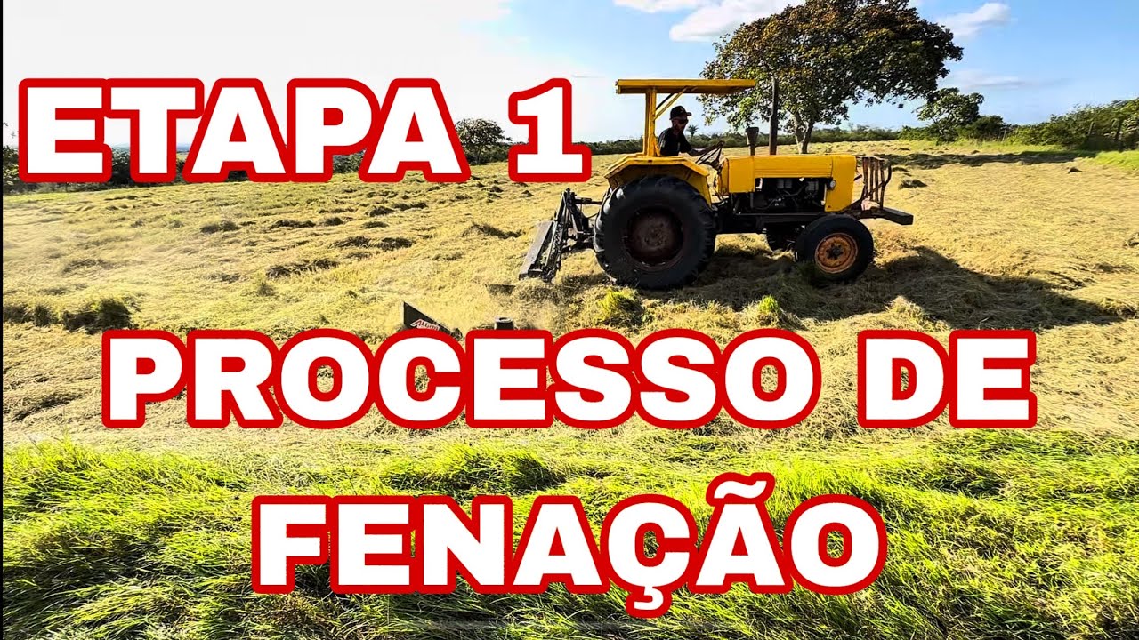 PROCESSO DE FENA&Ccedil;&Atilde;O - PARTE 1 🚜🌱 #feno #agro #trator
