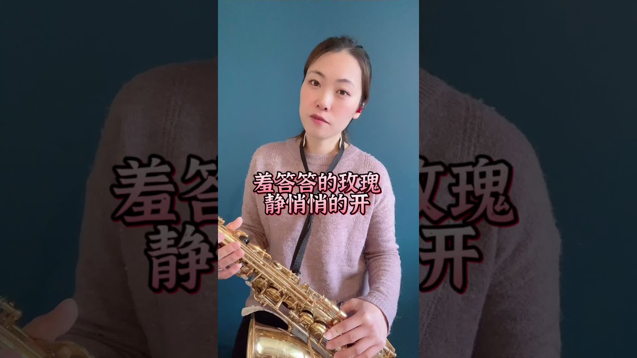 【萨克斯】孟庭苇的《羞答答的玫瑰静悄悄的开》