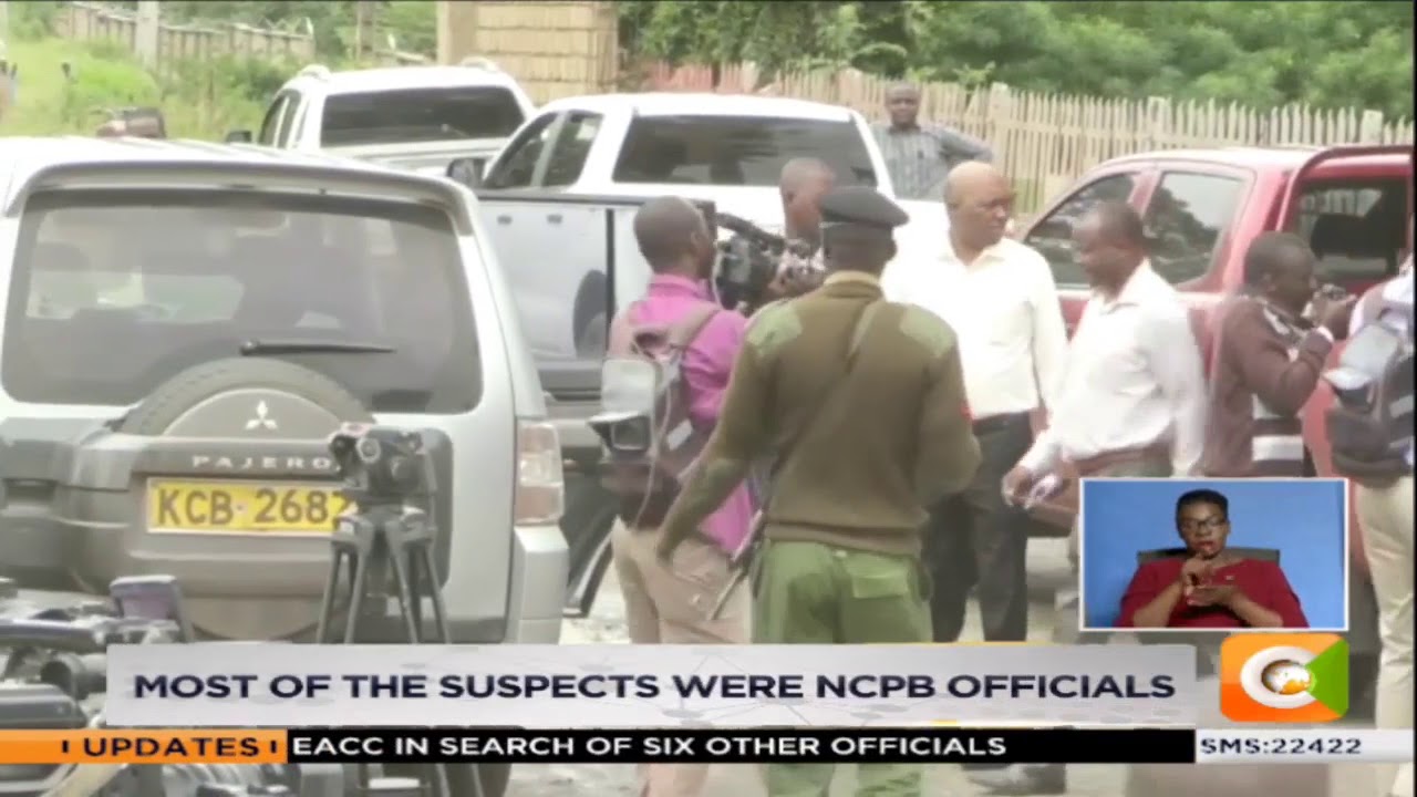 NCPB maize scandal probe