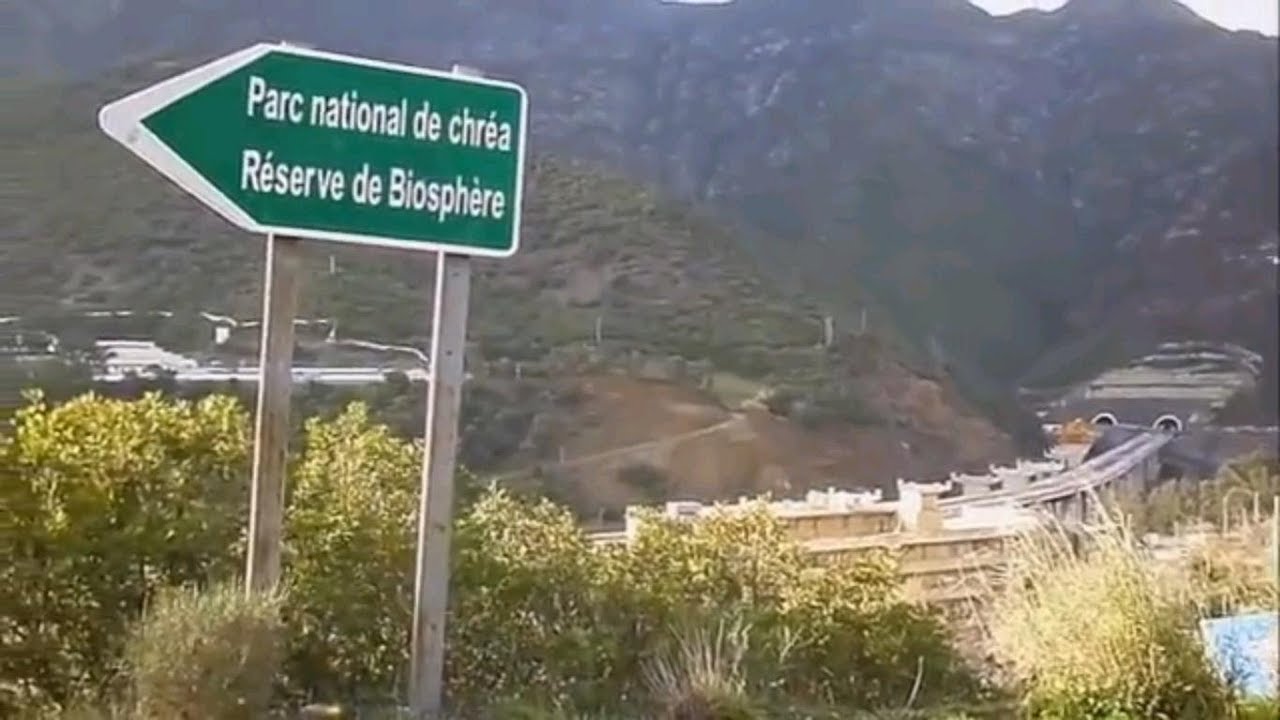 Voie rapide La Chiffa M&eacute;d&eacute;a
