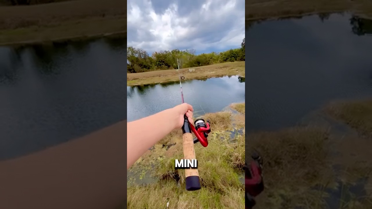 Fishing With MINI ROD!