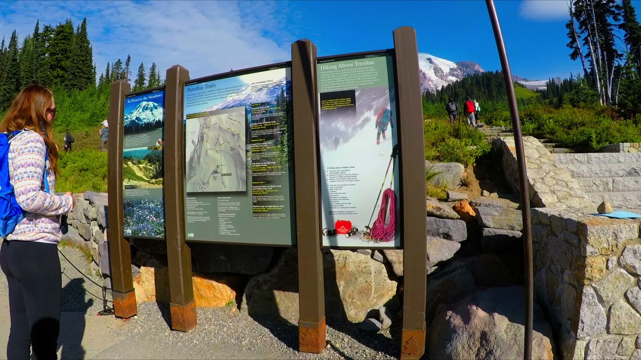 Mt.  Rainier Paradise Hike