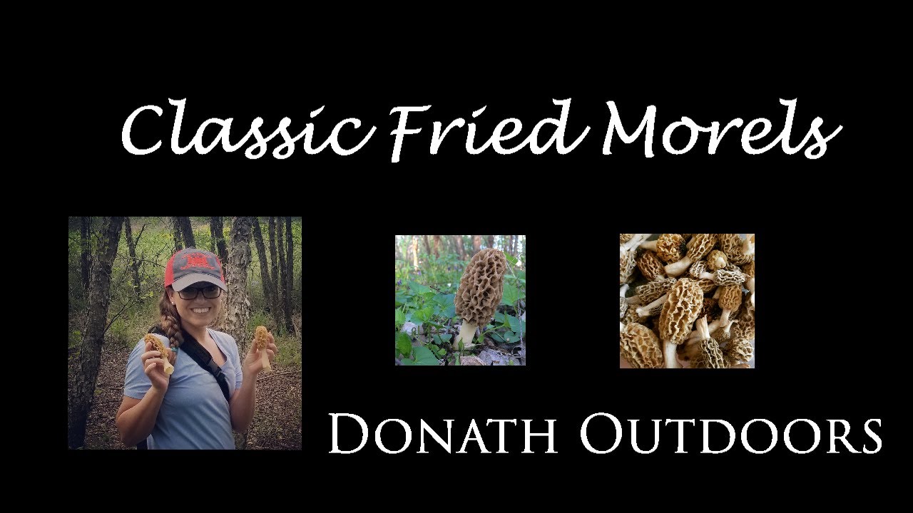 Classic Fried Morel Mushroom Recipe