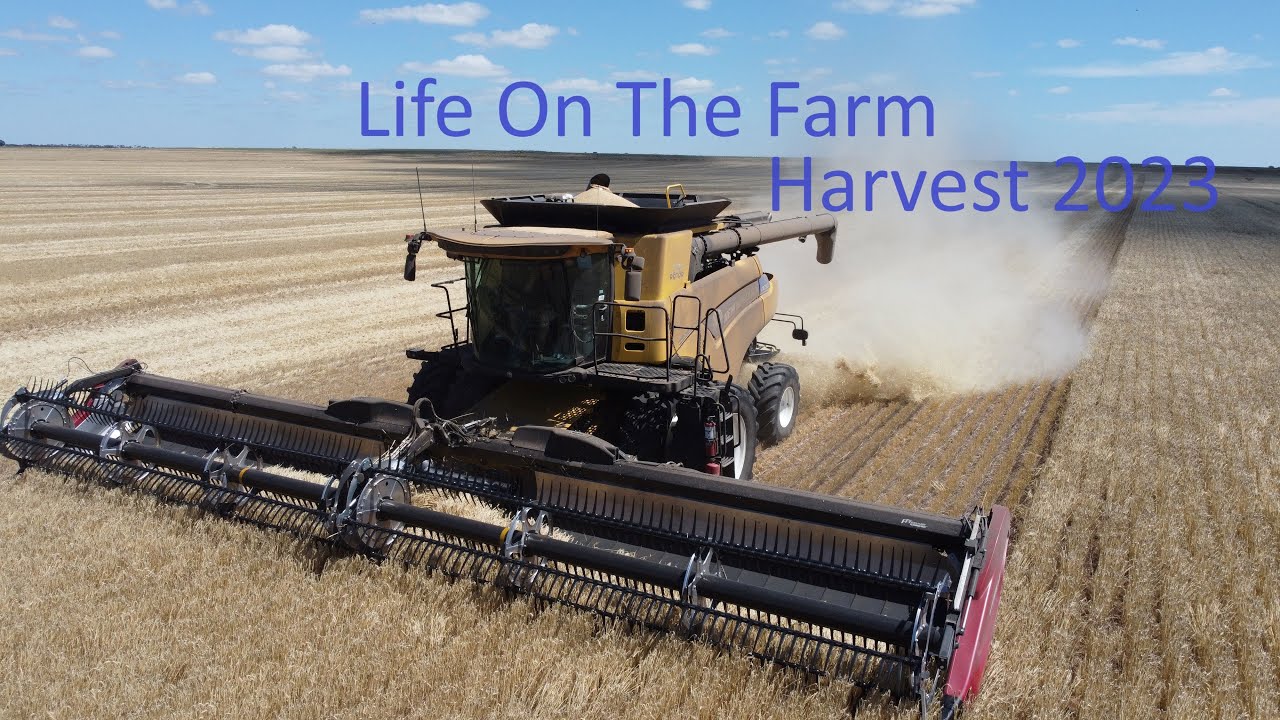 Life on the farm. Harvest 2023