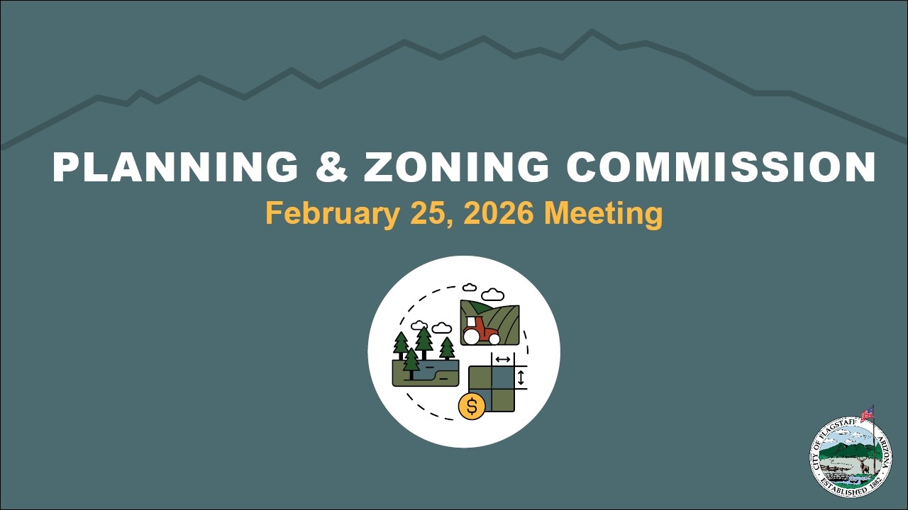 Planning and Zoning Commission Meeting - February 25, 2026
