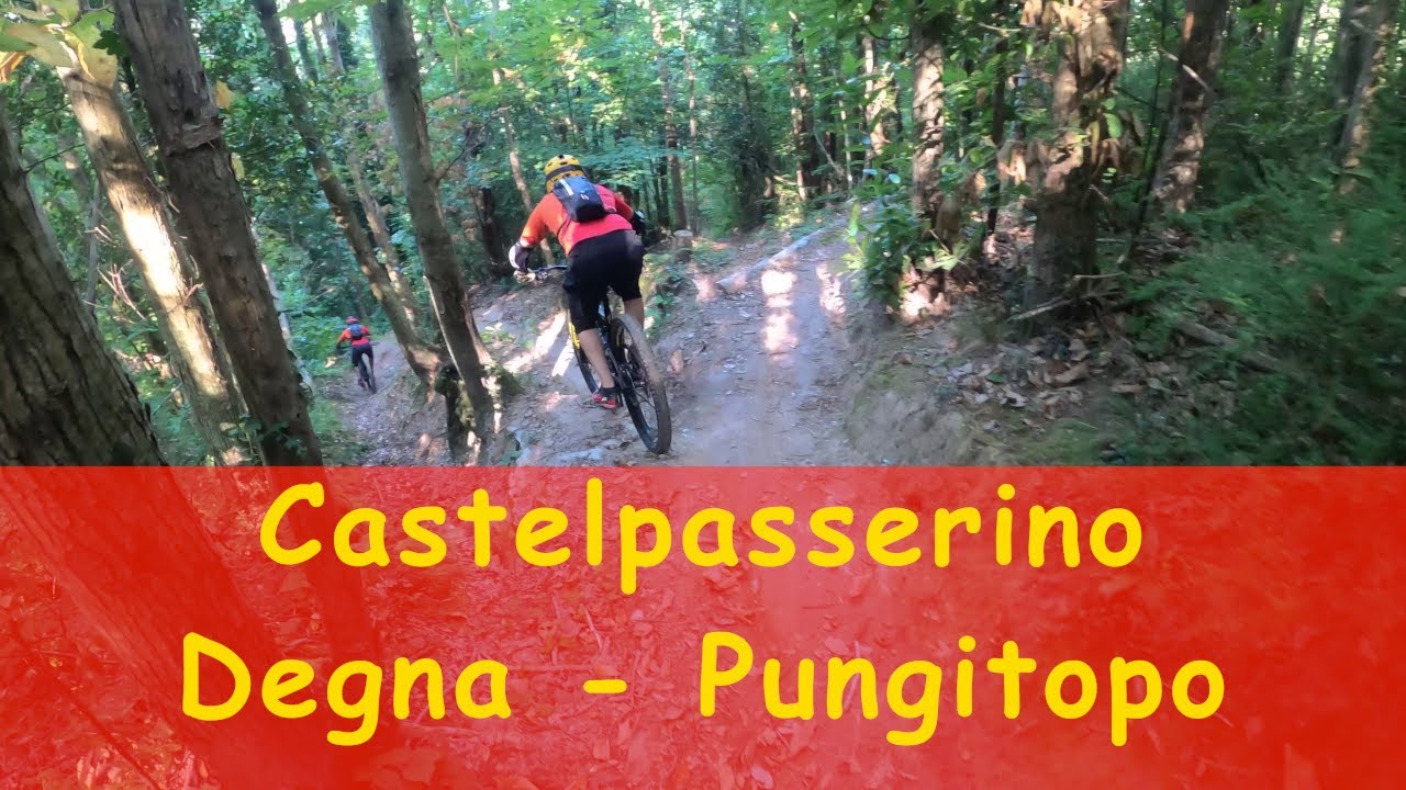 MTB Monti Pisani 01.08.2020 Sentieri: Pungitopo, Castelpasserino, Degna