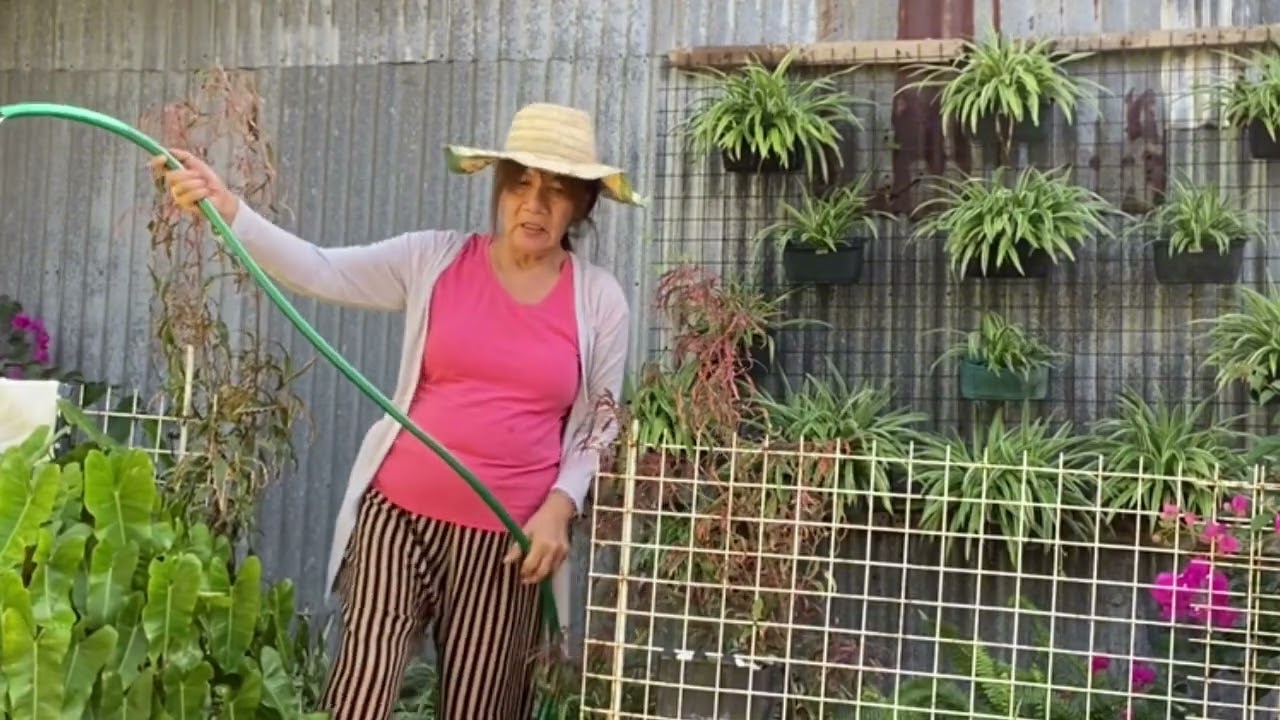 Finally nakabili na rin ako ng hose pandilig ng mga halaman ko