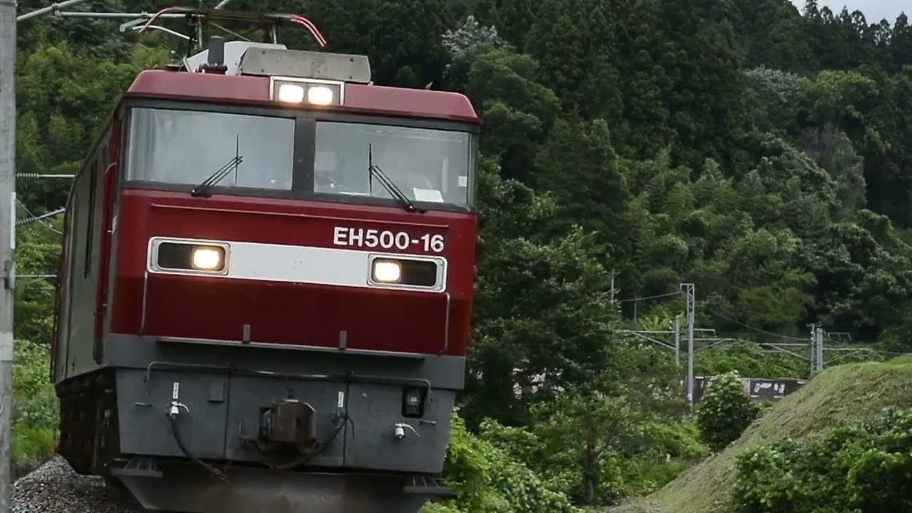 7066レ 2024年まとめ