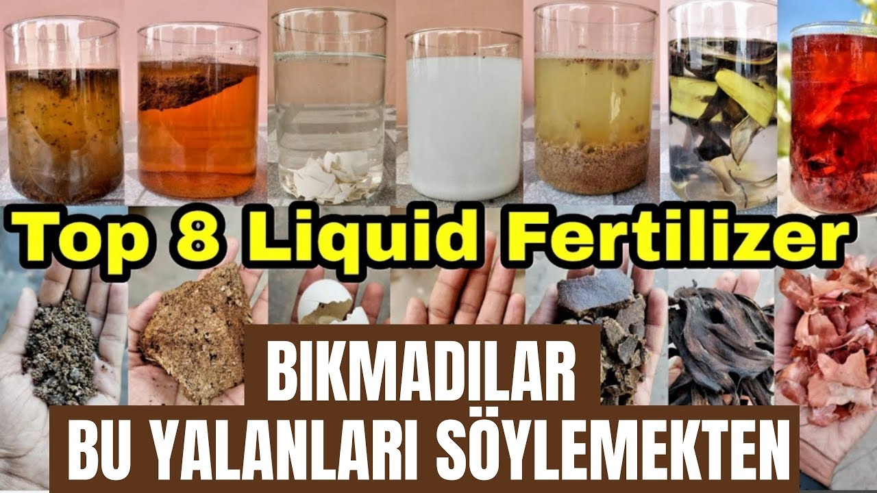 SIVI GÜBRE YAPIM HATALARI - YUMURTA KABUĞU - MUZ KABUĞU - SOĞAN KABUĞU - ÇİÇEK COŞTURAN DOĞAL GÜBRE