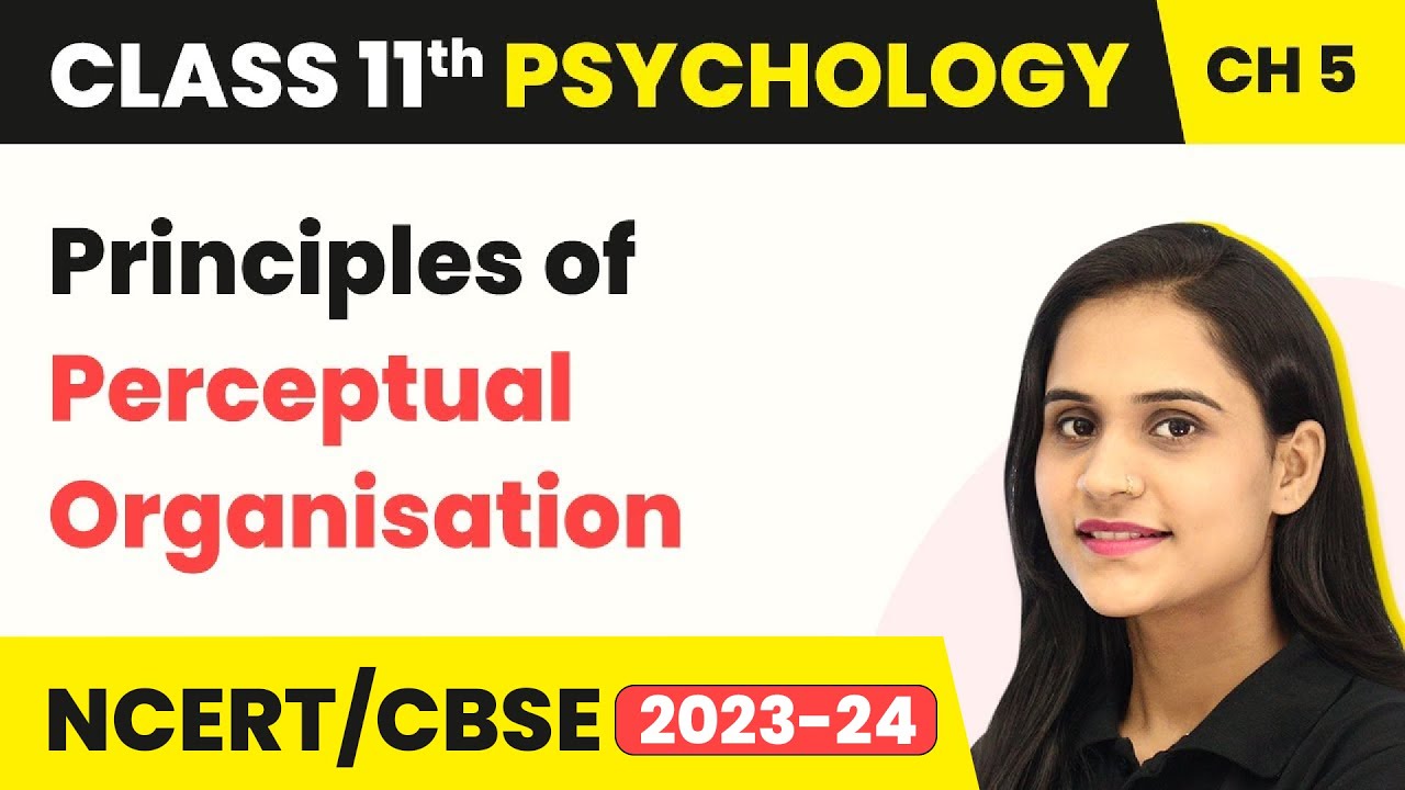 Principles of Perceptual Organisation | Class 11 Psychology Chapter 5