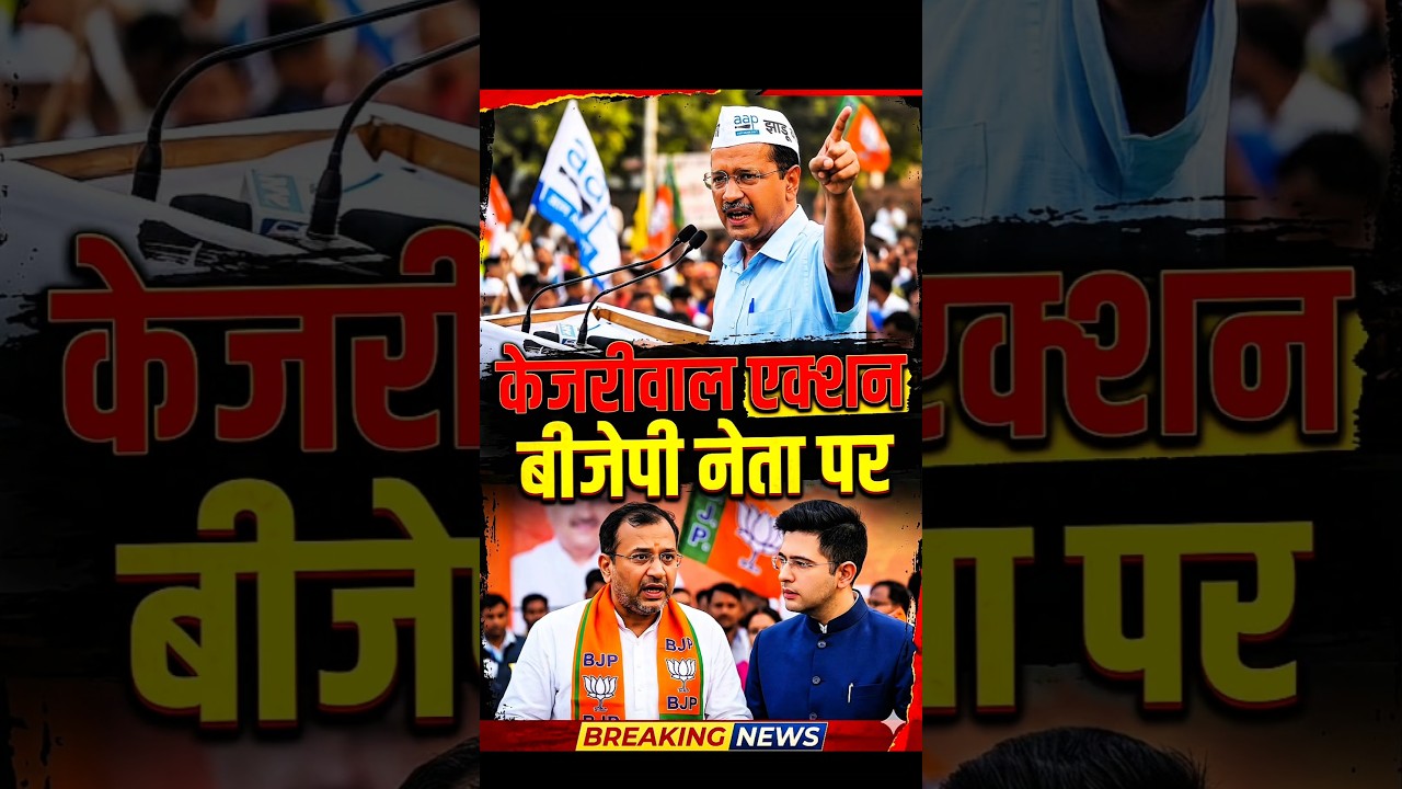 AAP Playing BJP Game? | ED-CBI Style Politics EXPOSED! |  Raghav chddada | Arvind Kejriwal | Aap Bjp