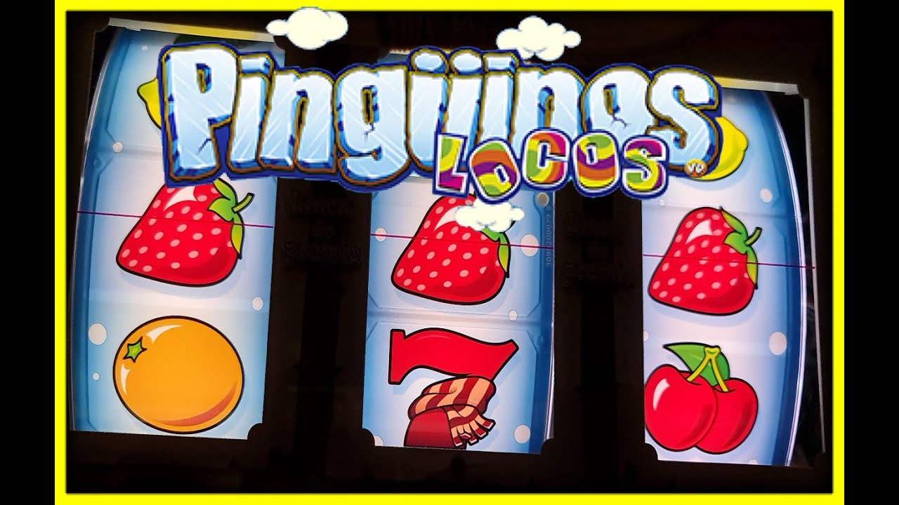 PINGUINOS LOCOS // SUBE SUBE EXTREMO