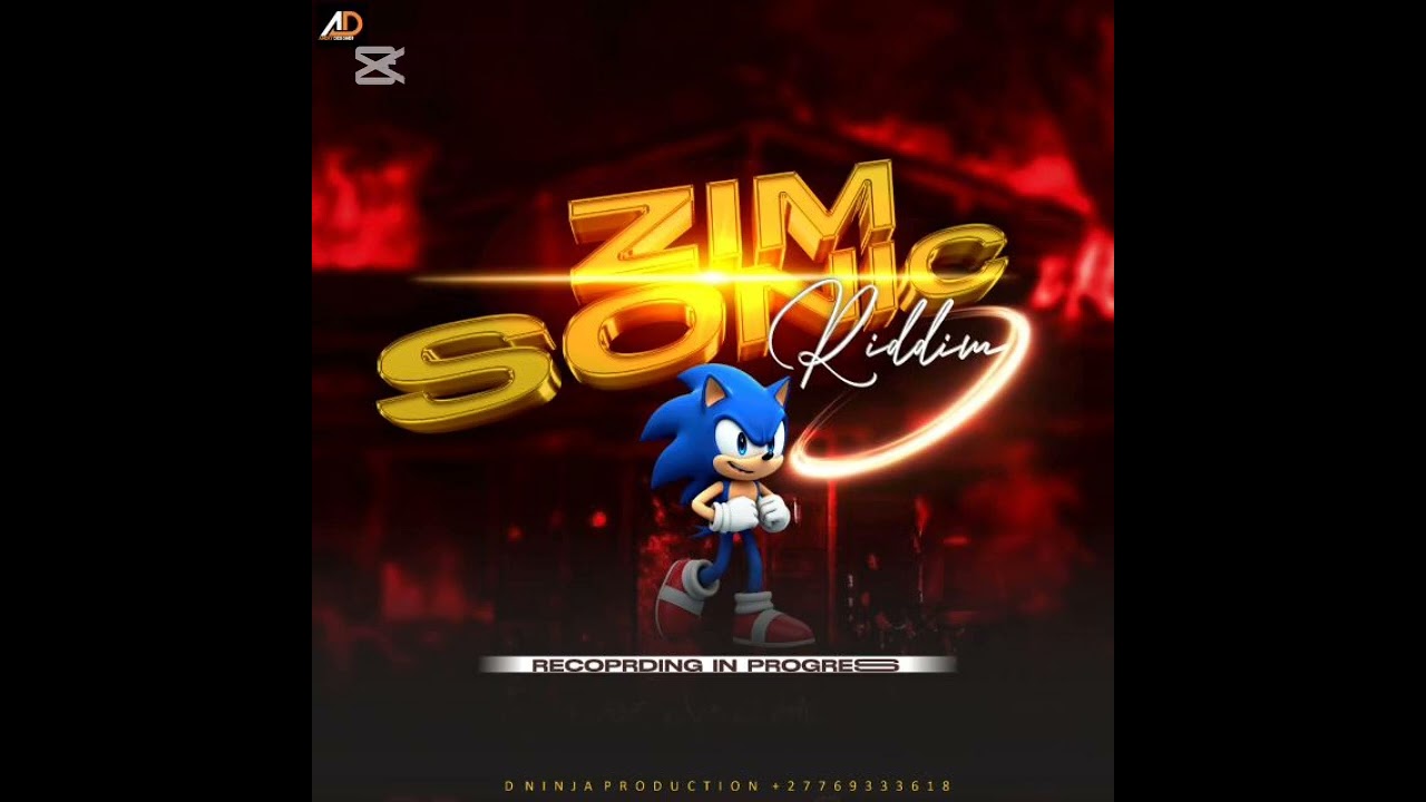 FREE BEAT ZIM SONIC RIDDM PRO BY D NINJA PRODUCTION 