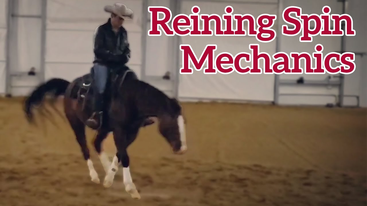 The Mechanics of a Reining Spin by Luke Gingerich