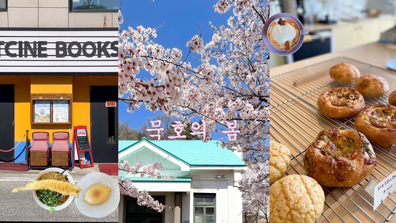 묵호는 봄이 찐이야🌼 | 정동진-동해-묵호 당일치기 혼여행 | 묵호 벚꽃 명소 추천 | 네이버 지도 공유