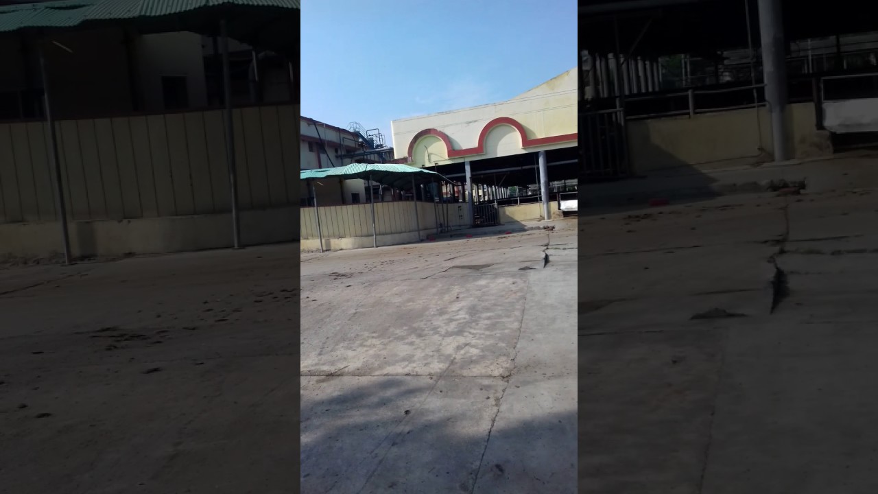 18 June 2017