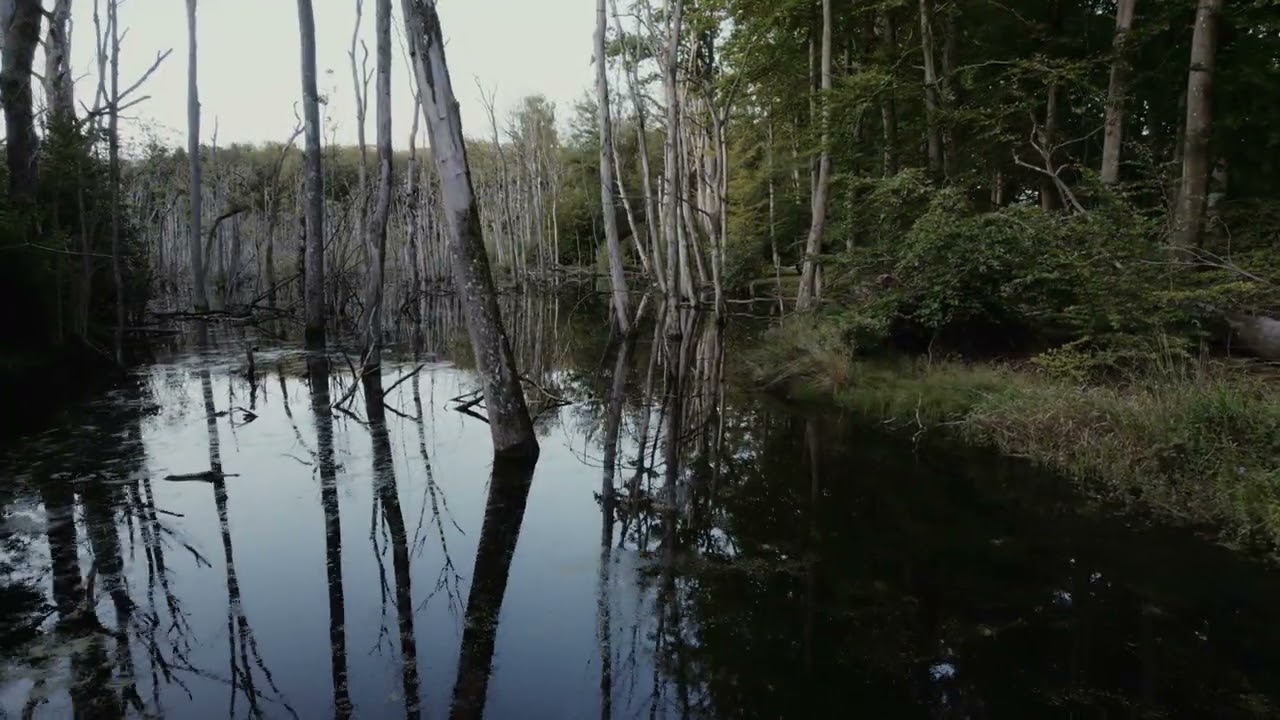 La Sologne et les Marées