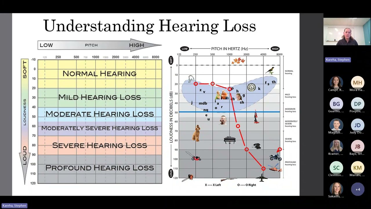 Dr. Hilderbrandt - Cognitive Hearing Science - Long Term Effects of Untreated Hearing Loss - Reh...