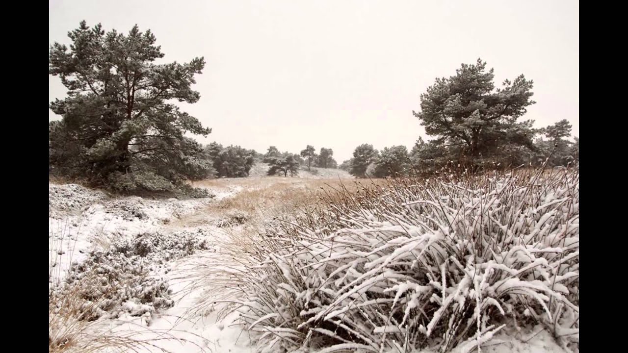 Hoog Buurlo en Hoog Soeren op de Veluwe
