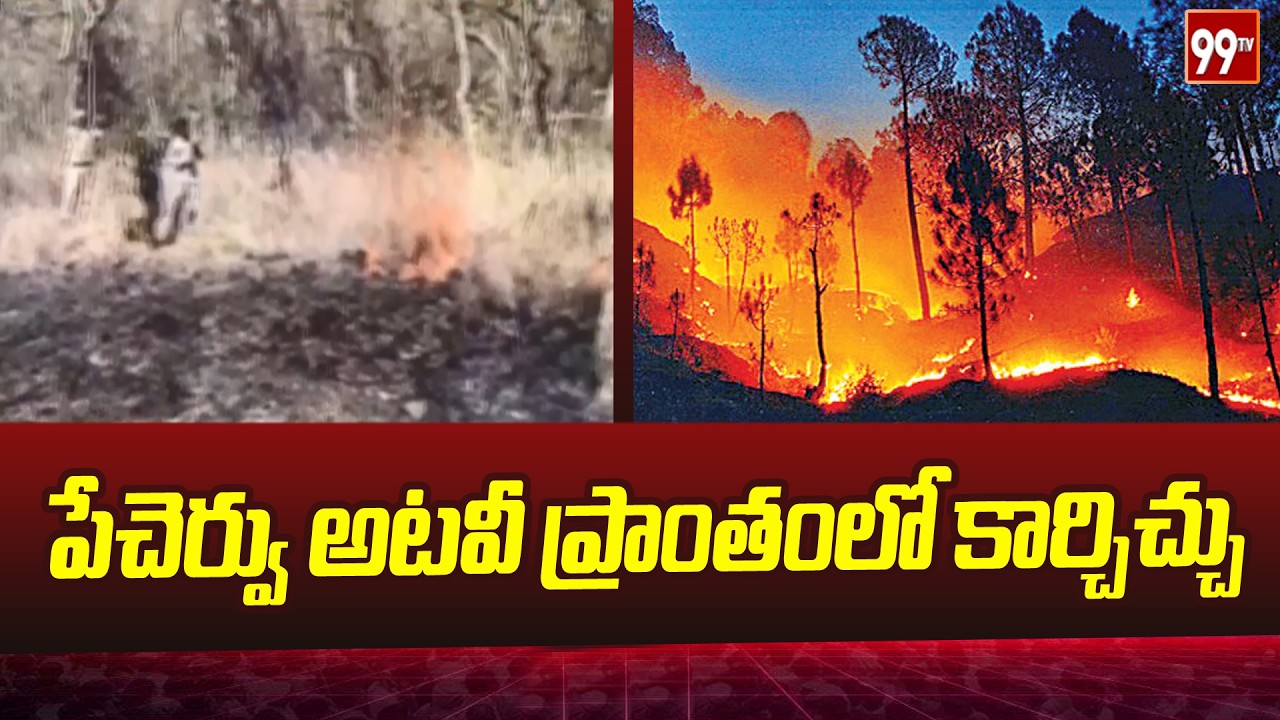 పేచెర్వు అటవీ ప్రాంతంలో కార్చిచ్చు | Fire breaks out in Pechervu forest area | 99TV