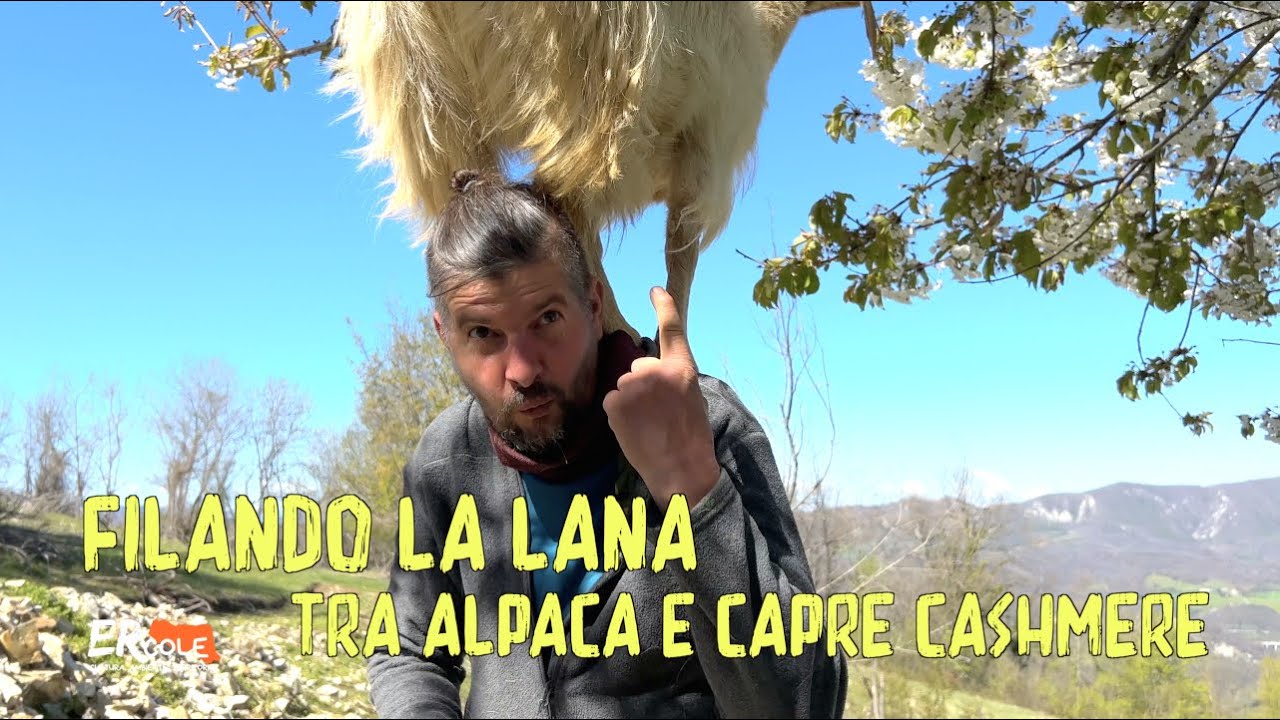 Alpaca, capre cachemire, Babu il maiale e i molti altri amici della Fattoria Tramonti