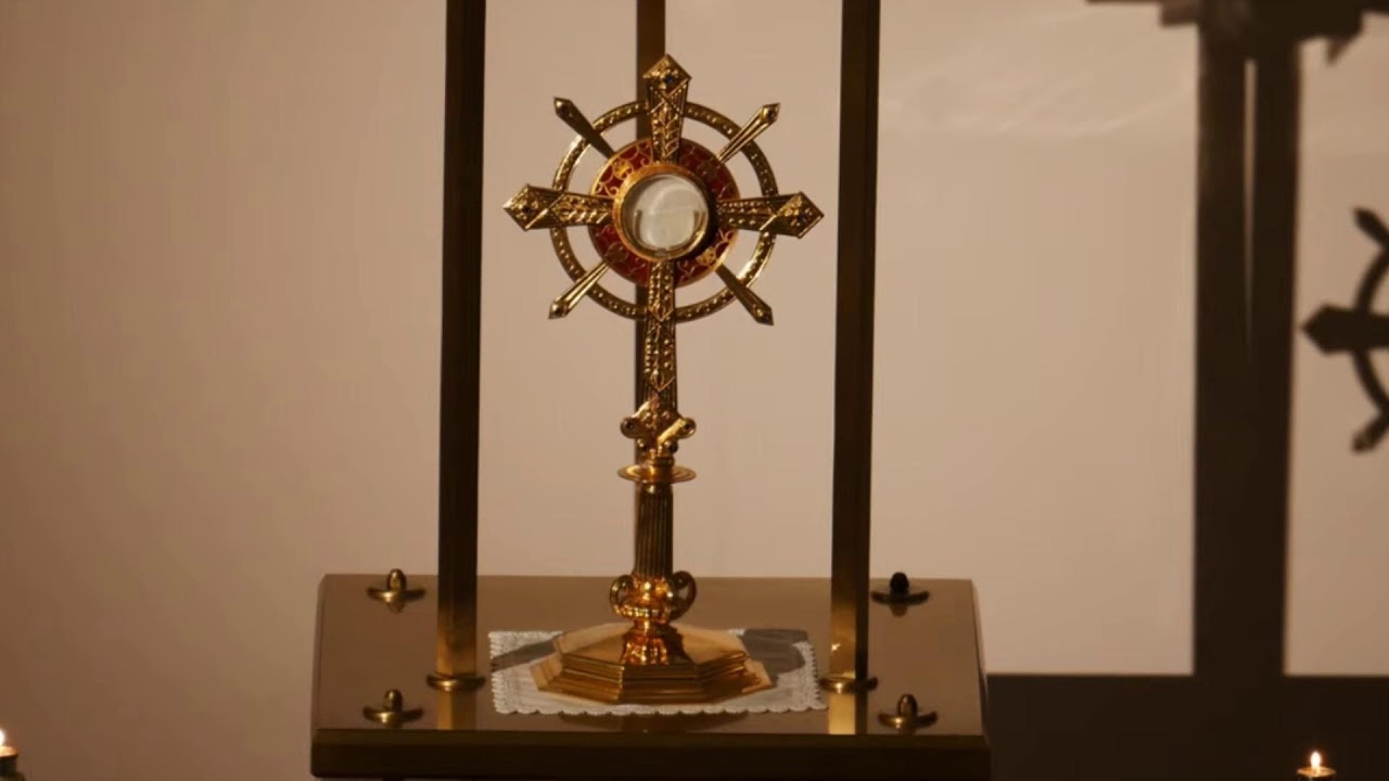 Shrine Live Stream - 1st February 2026 - Sunday Mass