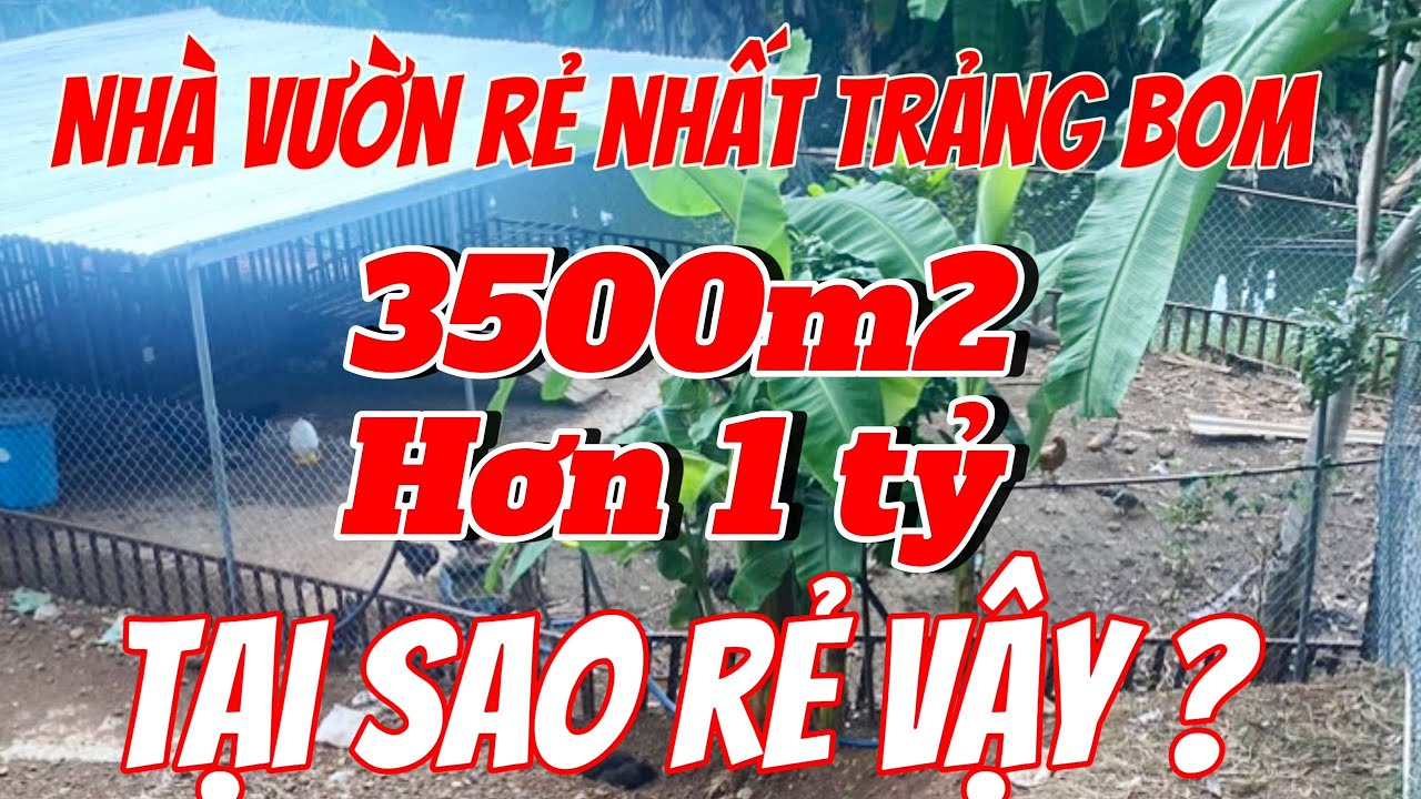 Trang trại nhà vườn giá rẻ tại Trảng Bom. 3500m2 sổ hồng đầy đủ mà chỉ hơn 1 tỷ . lý do rẻ là gì?