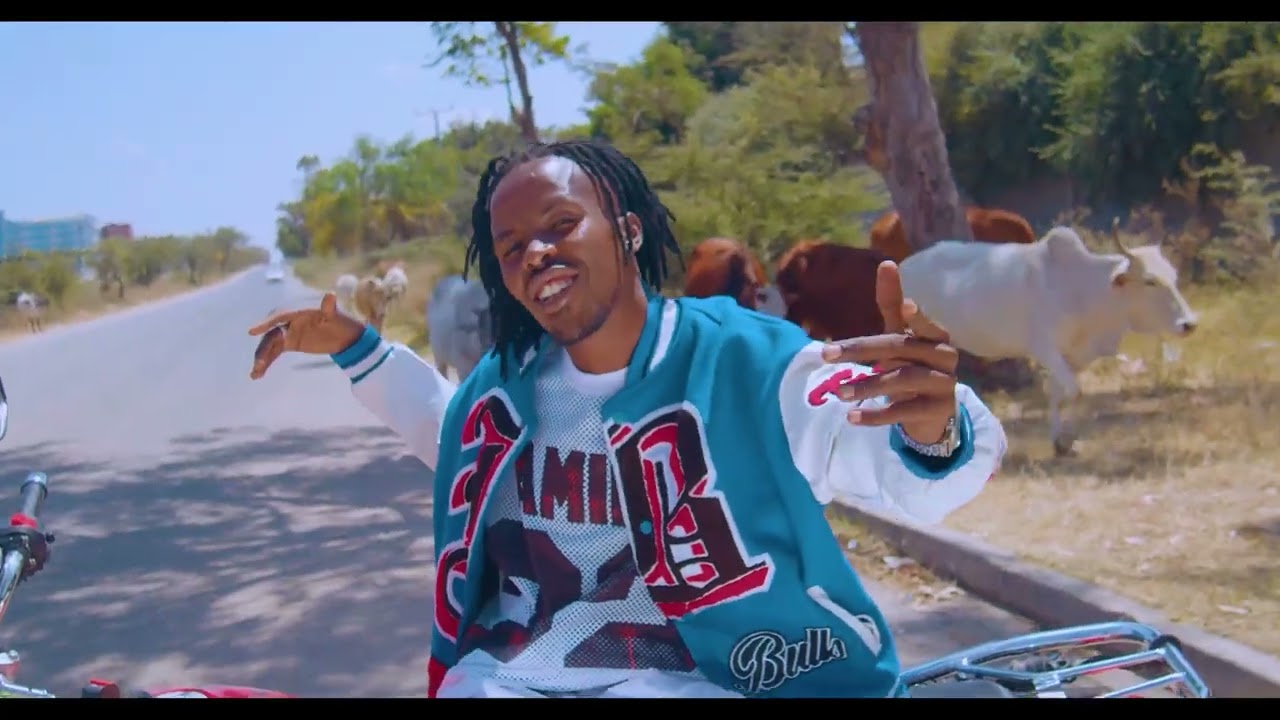 NAISULA BY DANGOTE OFFICIAL VIDEO